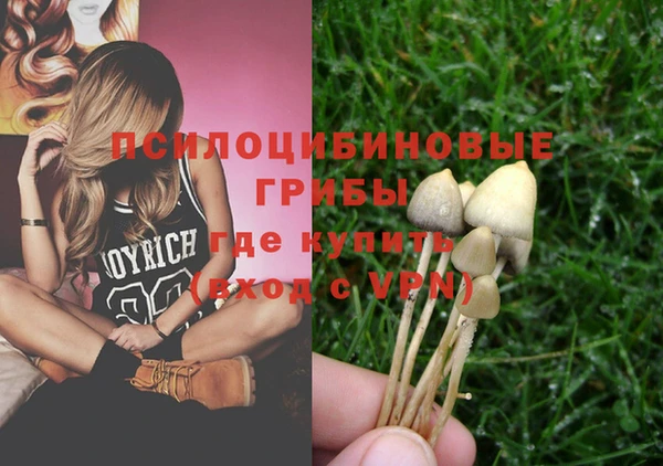 скорость Алексин