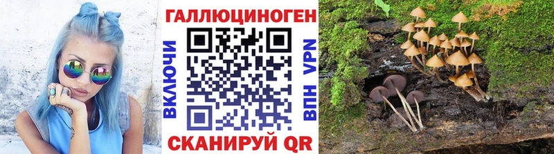 Псилоцибиновые грибы Cubensis  Учалы 