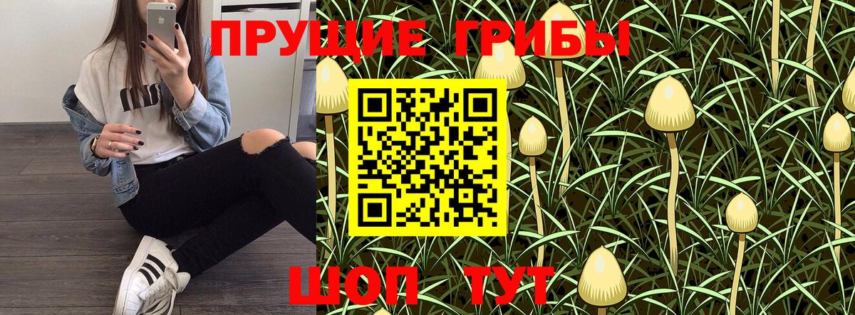 Псилоцибиновые грибы мицелий  Вход с VPN  Учалы 